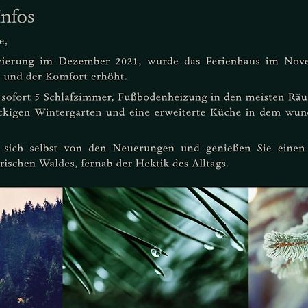 Ferienhaus Bayerischer Wald Regen Eksteriør bilde