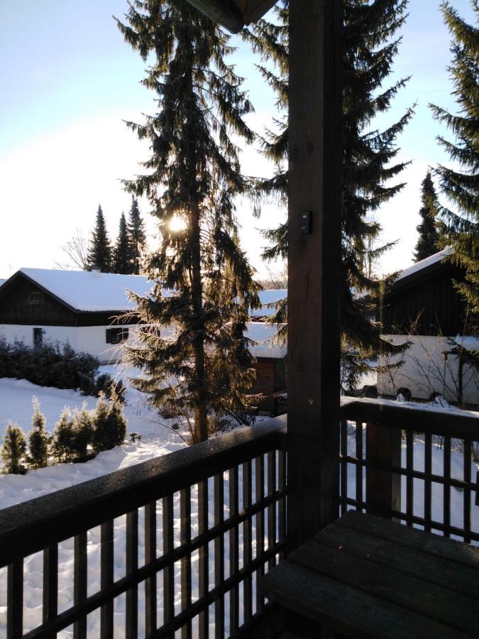 Ferienhaus Bayerischer Wald Regen Eksteriør bilde