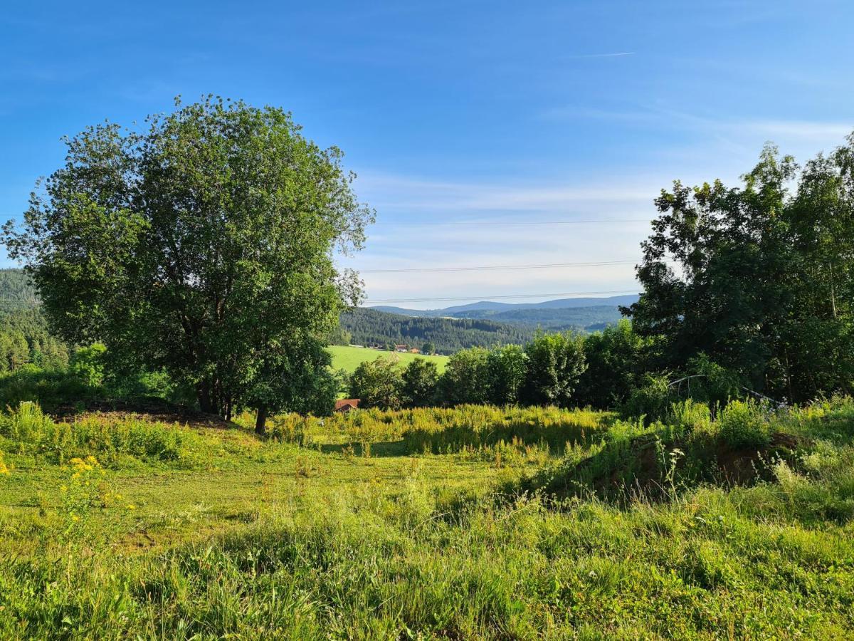 Ferienhaus Bayerischer Wald Regen Eksteriør bilde
